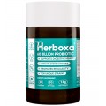 Herboxa Probiotic 60 Billion | Ravintolisä